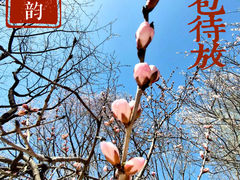 -北京奥林匹克公园