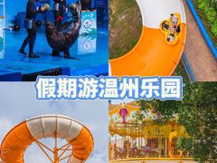 -温州乐园