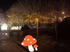 -党河风情线国家水利风景区