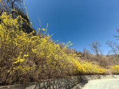 -北京西山国家森林公园