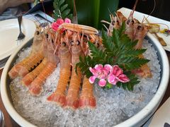 -Mr.Fish鱼鲜生海鲜放题(高德置地冬广场店)
