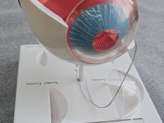 -武汉大学附属爱尔眼科医院(湖北总院)