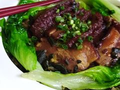 -食德喜·阳山鸡王食研基地