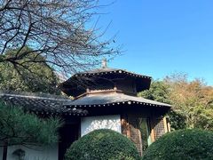 -龙井草堂