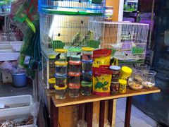 -双季花艺园艺市场(浦东店)