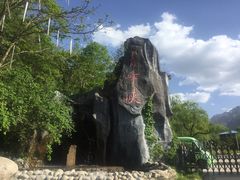 -青峰峡国家森林公园