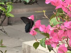 -成都市文殊院