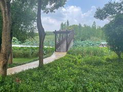 -同里国家湿地公园