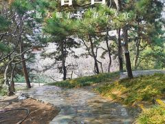 -团结湖公园