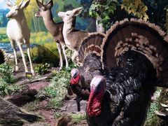 -陕西自然博物馆