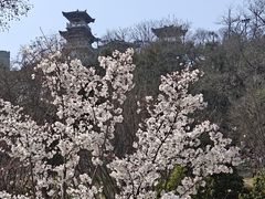 -龟山风景区-龟山电视塔