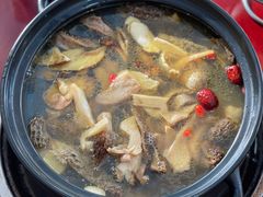 -蘑统田下·野生菌火锅