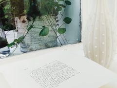 -胶囊画廊