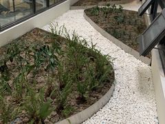 -上海市徐汇区口腔医院