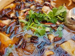 -蔼若春.传承云南菜(金碧公园店)