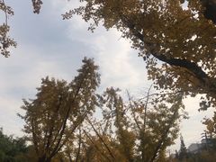 -龙潭水乡