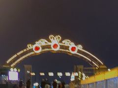 -武汉知音号