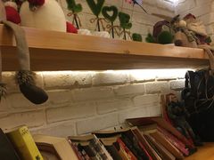 -川成串·自助串串香火锅(朝阳店)