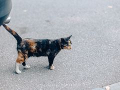-南京工程学院(江宁校区)
