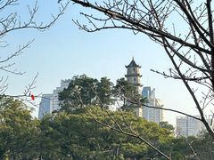 -江心屿景区