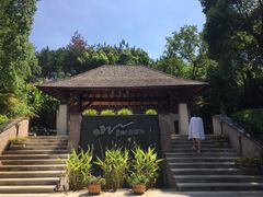 -天目湖涵田半山温泉
