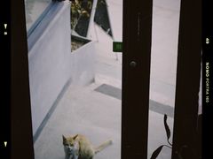 -隹木咖啡馆(宝龙广场店)