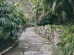 -鹅岭公园瞰胜楼