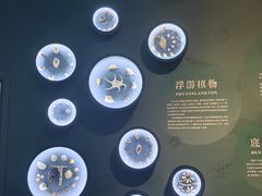 -中国湿地博物馆