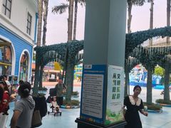 -海合安成都极地海洋公园
