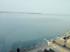 -抱抱地球咖啡馆(国家海洋博物馆店)
