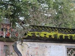-新安江山水画廊风景区