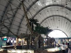 -辽宁古生物博物馆