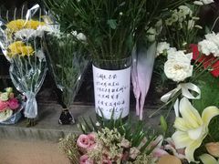 -上海市世外小学