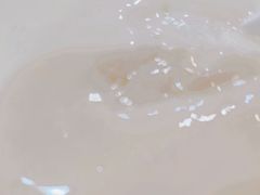 -沙湾姜埋奶(兴新包店)