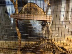 -酷嗒动物文化乐园(cutezoo西溪乐天城店)