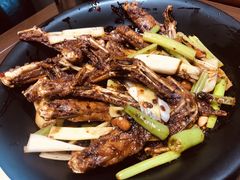 干锅鸭翅-掌上鲜(南顺城街店)
