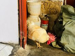 -郭师傅冰稀饭(人民路店)