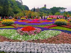 -深圳仙湖植物园