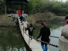 -金孔雀温泉旅游度假村