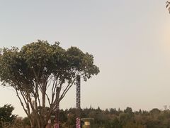 -洱海月湿地公园