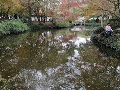 -秋霞圃