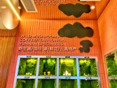 景观位-芸山季·云南野生菌火锅(宝能环球汇店)