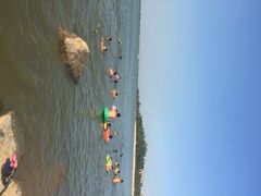 瑶湖郊野森林公园-瑶湖郊野森林公园