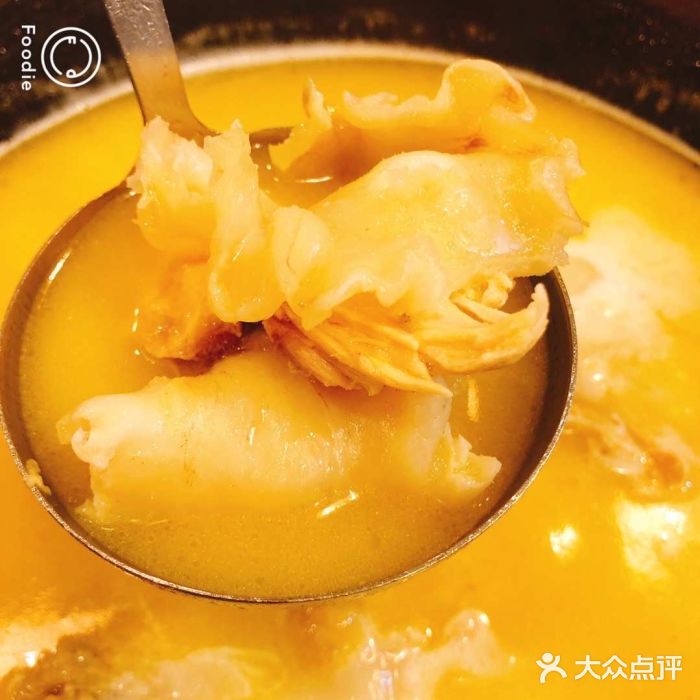 鲜入围煮花胶鸡海鲜火锅图片