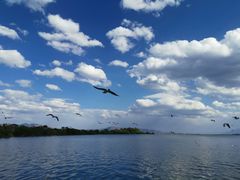 -阿昌白族石板烧(大理古城店)