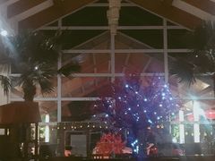 -雅安楠水阁温泉酒店