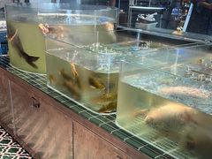 -前门烤鸭(江东中路店)