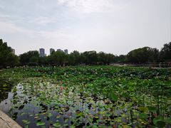 -太阳宫公园