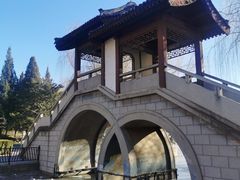 -团结湖公园
