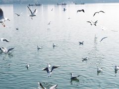 -蠡湖大桥公园